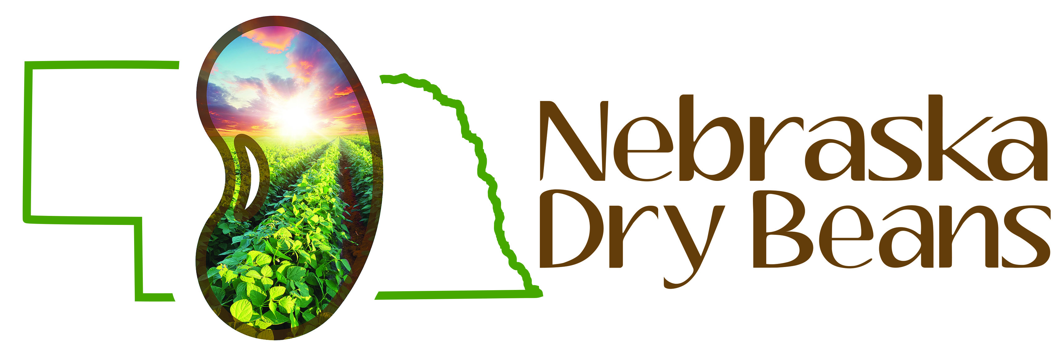 Meadowlark - Nebraska Dry Bean Commission