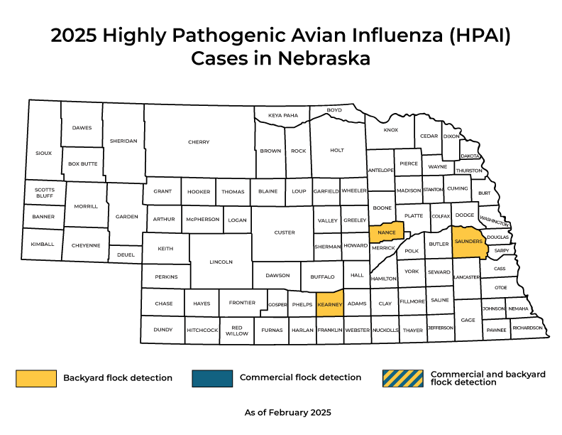 HPAI 2025 Detections