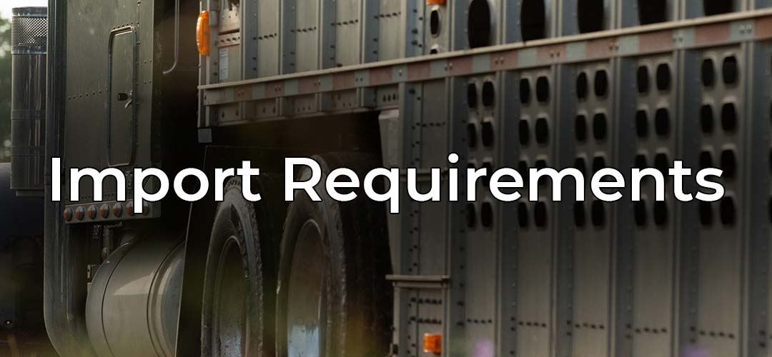 Mobile - Import Requirements