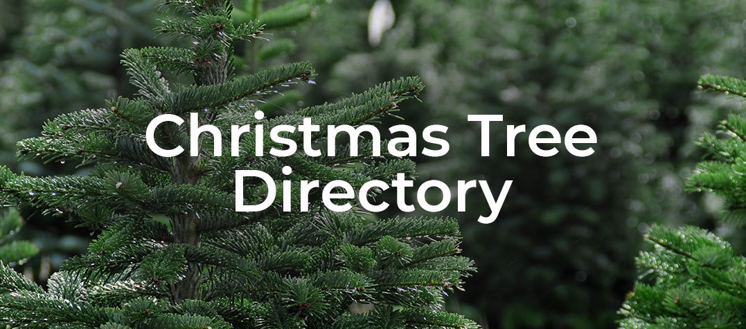 Mobile - Christmas Tree Directory