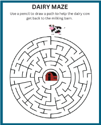 Dairy Maze