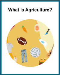 What is Agriculture?