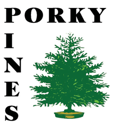 Porky Pines Logo