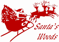 Santa's Woods