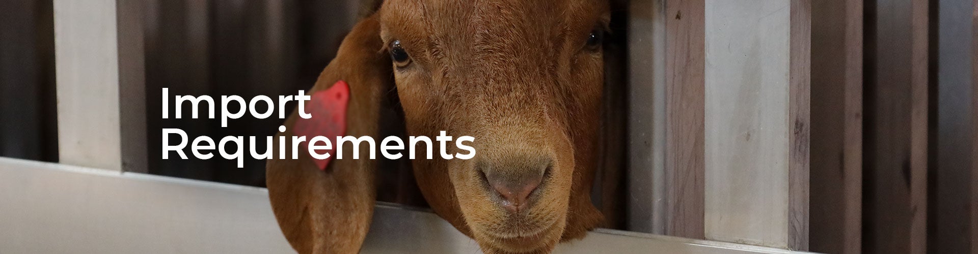 Improvement Requirement
