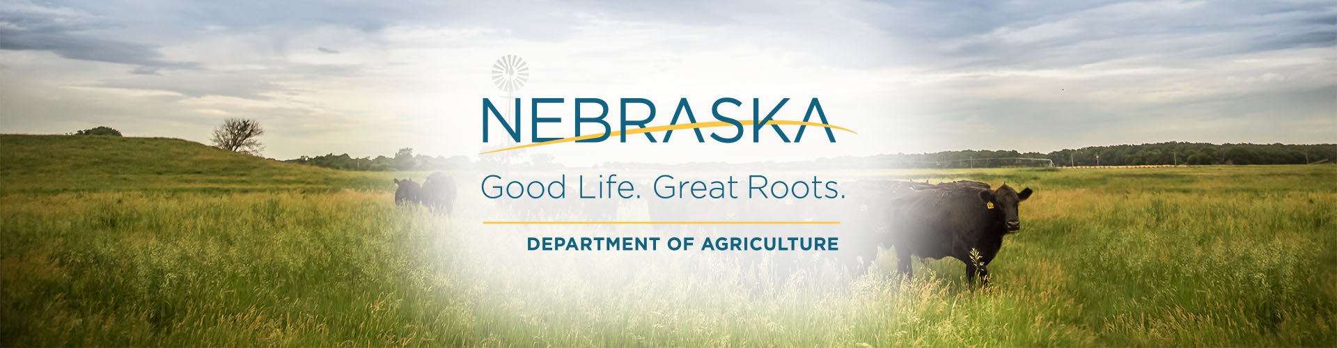 Nebraska.jpg 