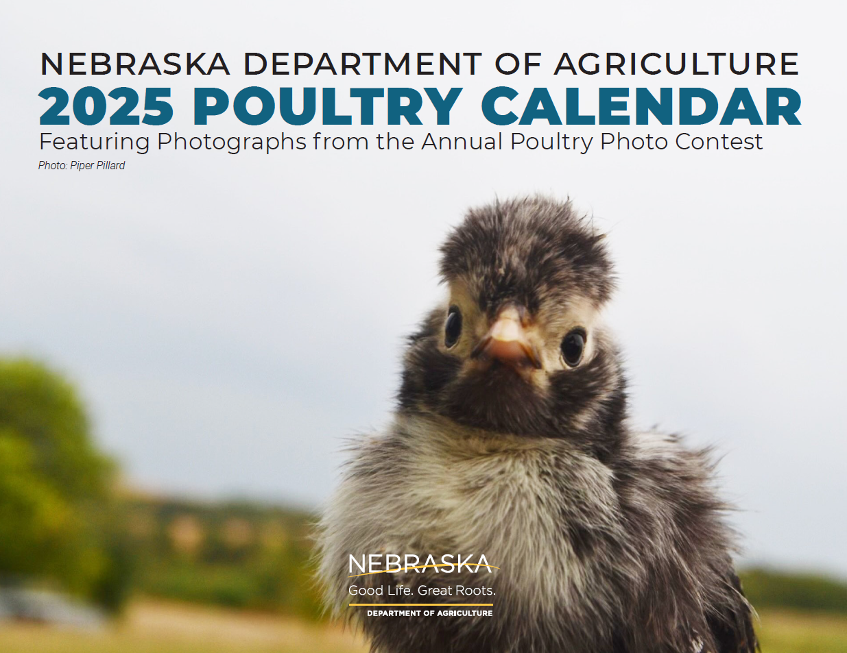 Poultry Contest
