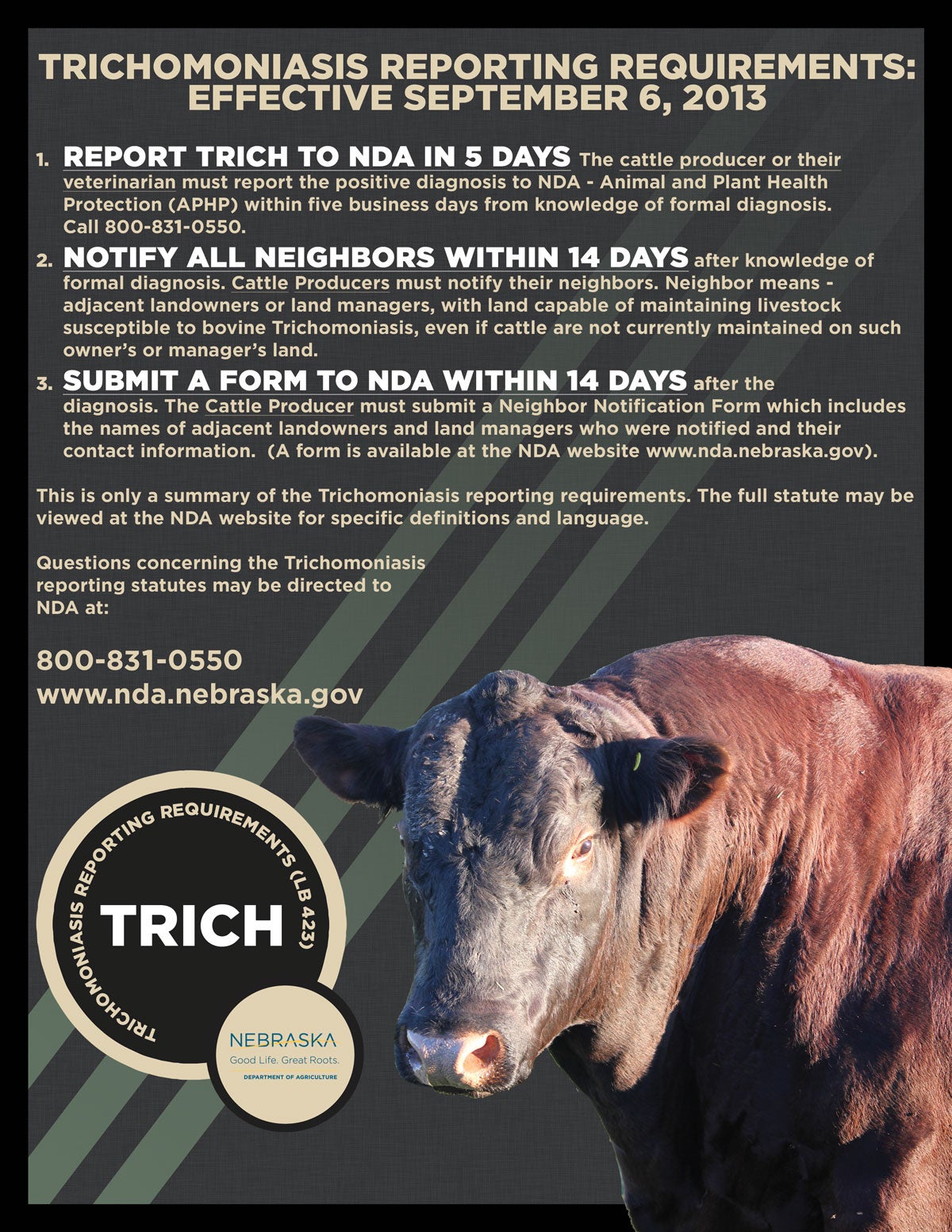 trich flyer