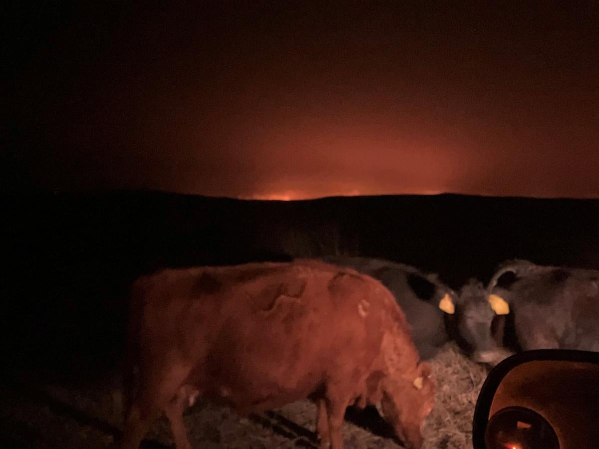 Nebraska Disaster Resources