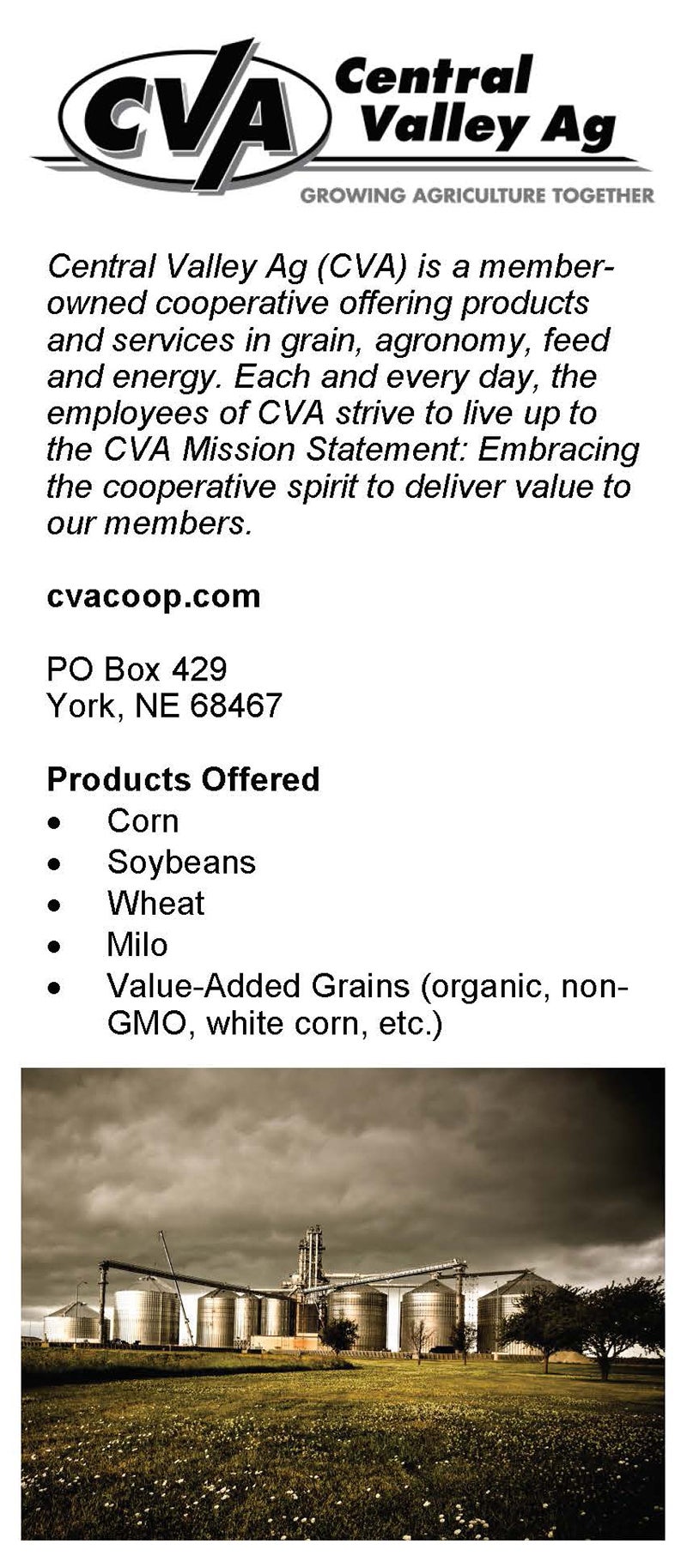 Catalog