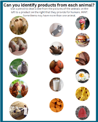 Animal Products
