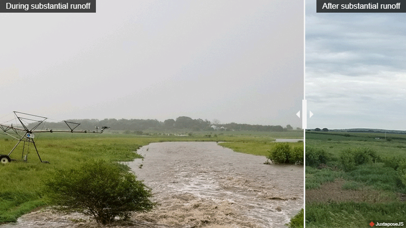 Buffer Strips
