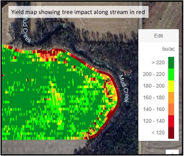 Buffer Strips
